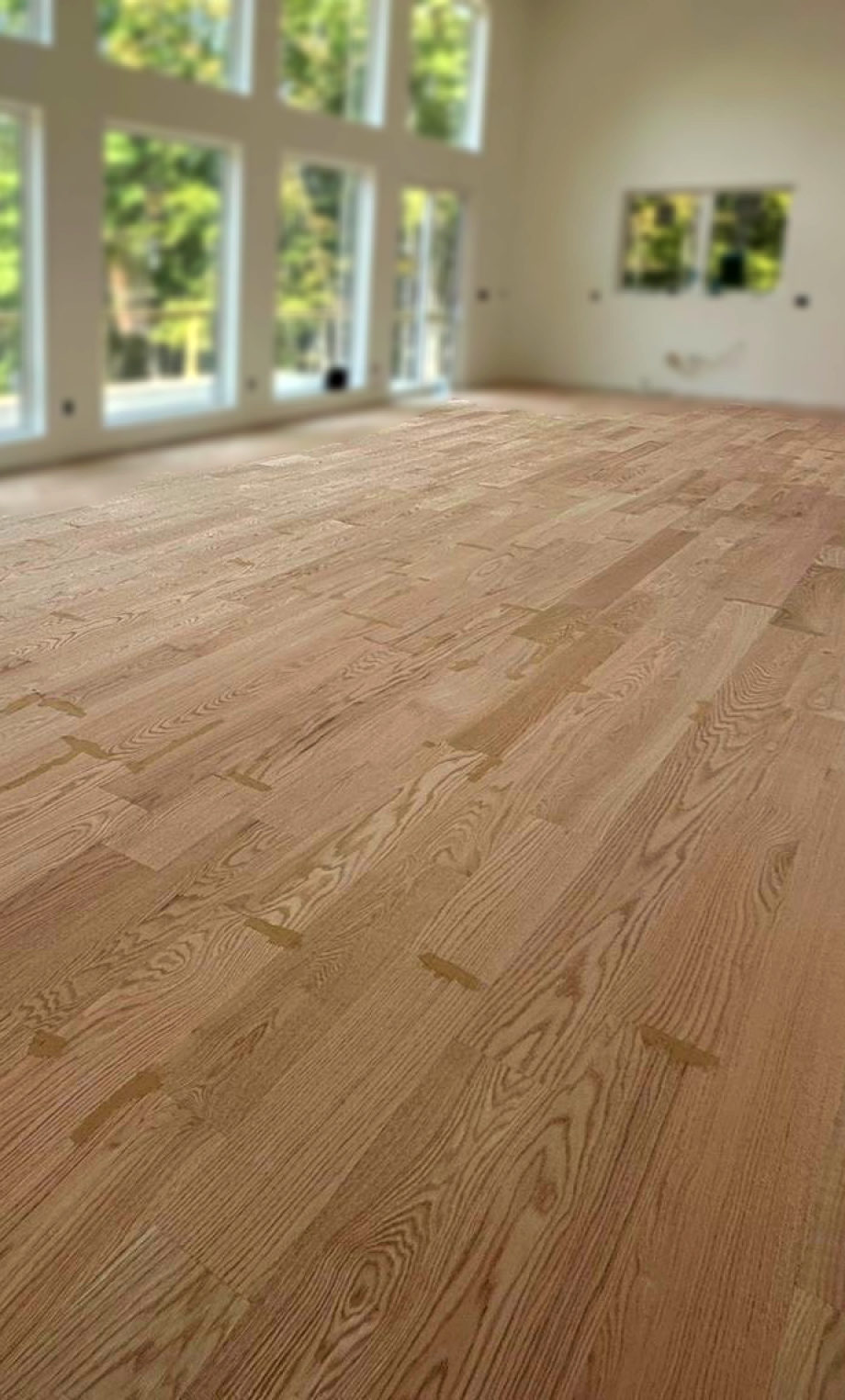 Photo Oct 17 2024, 23 40 27